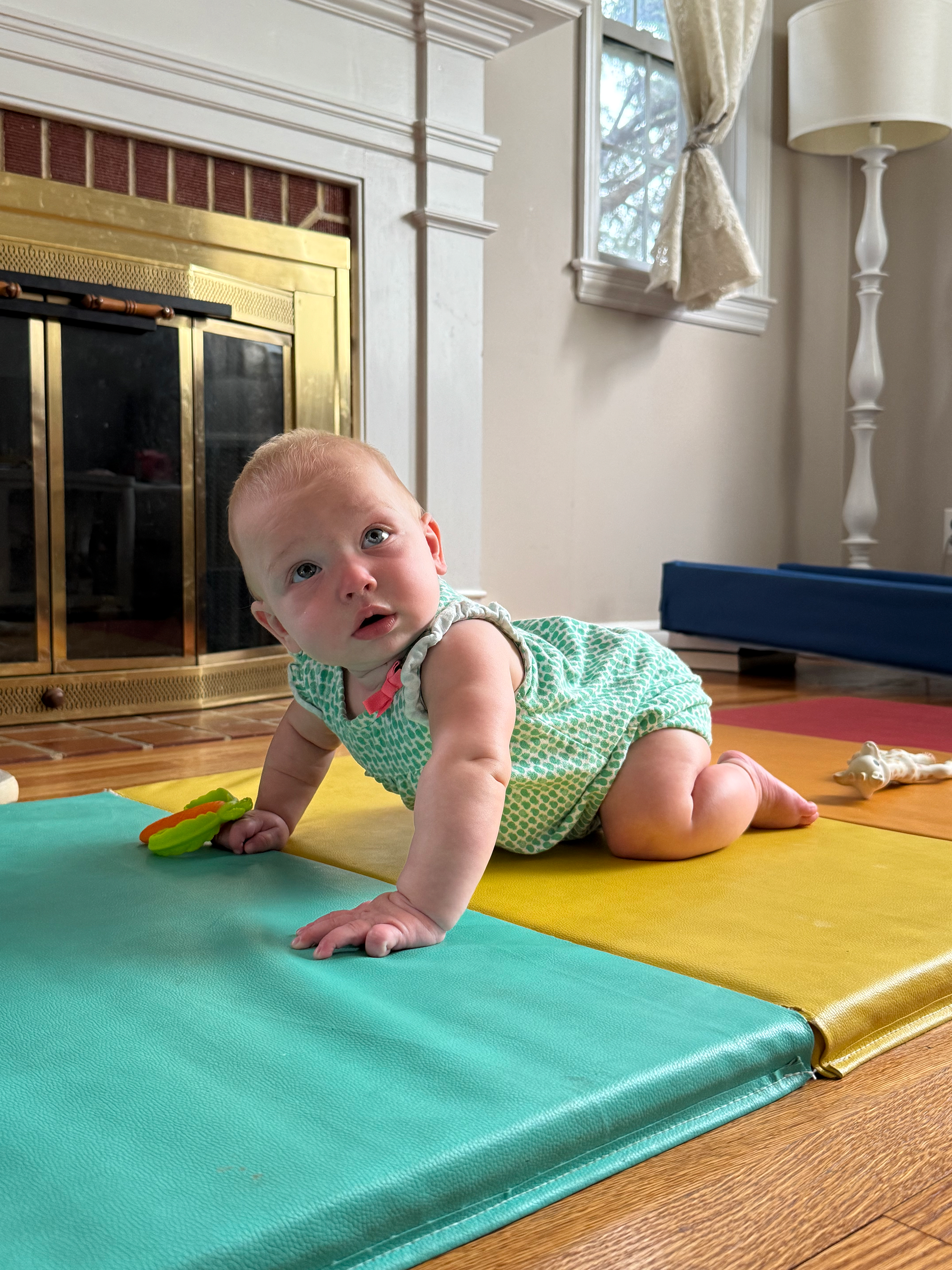 Your Baby's First Milestones Made Simple | Doman Baby Course